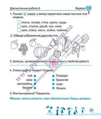 Я досліджую світ, 2 кл., Діагностичні роботи (до підруч. Бібік) / Лабащук О. / ПІП