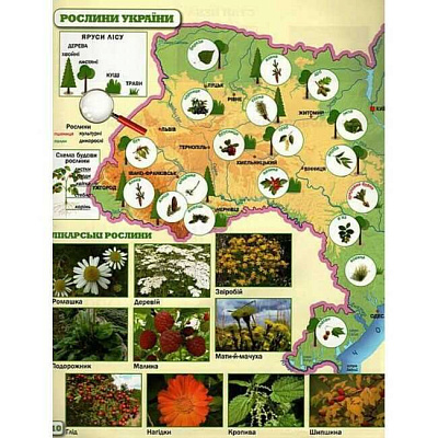 Гільберг Т.Г. ISBN 978-617-7485-82-6 / Я досліджую світ , 1-2 кл. Атлас + контурні карти