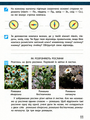НУШ 4 клас. Я досліджую світ. Щоденник спостережень до підручника Бібік Н., Бондарчук Г. 9786170975270